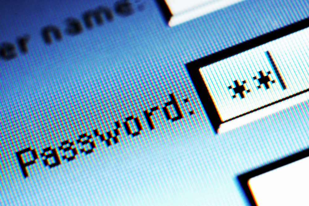 Double-Blind Password strategy: Additional Security Layer